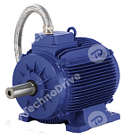 электродвигатель gm3ed 200 l 4a b3 (30 kw, 1470 r/min, ie3, d=55mm, a=318mm, b=305mm, 3ptc, h180c, mount m1, ip55) gamak