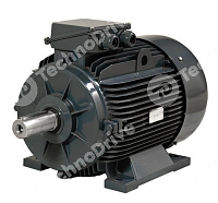 электродвигатель gmm2e 355 m 4a b3 (250 kw, 1485 r/min, ie2, d=100mm, a=610mm, b=560mm, roller bearings, 3ptc, h180c, mount m1, ip55) gamak