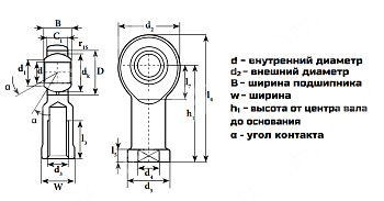 Шарнирный наконечник CHS20 M20X1,5 (TSF20C) NPT