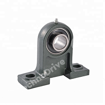 Подшипниковый узел UCPH205 ISB